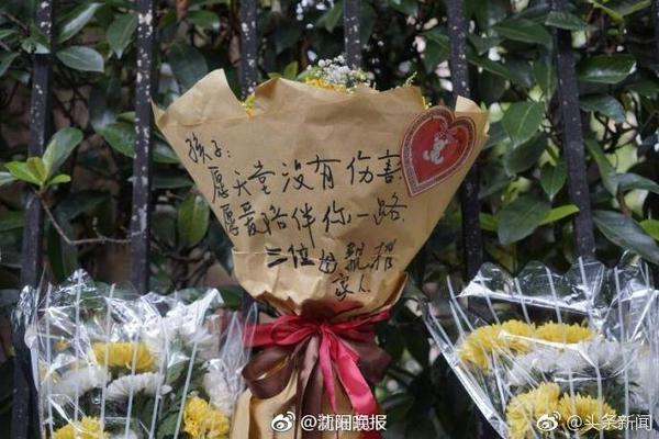 [流言板]场均11.3+4.3！篮网官方Ins分享叶戈尔