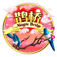美女网站18官方安装版